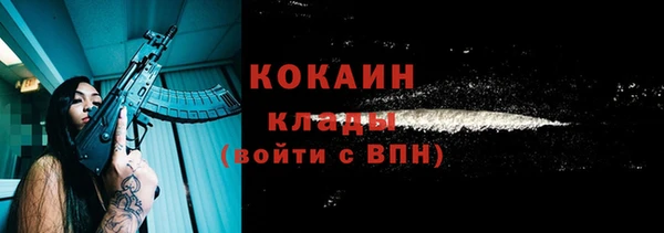 стаф Белокуриха