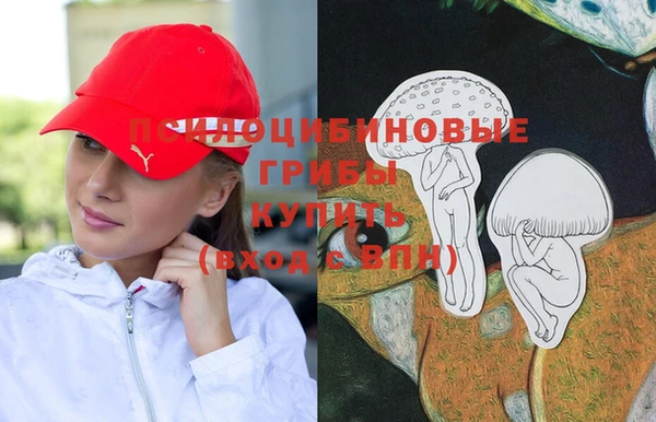 стаф Белокуриха