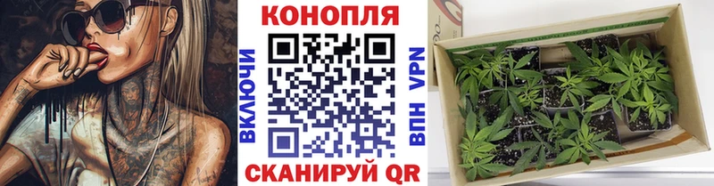 Марихуана Ganja  Купить где  Обоянь 